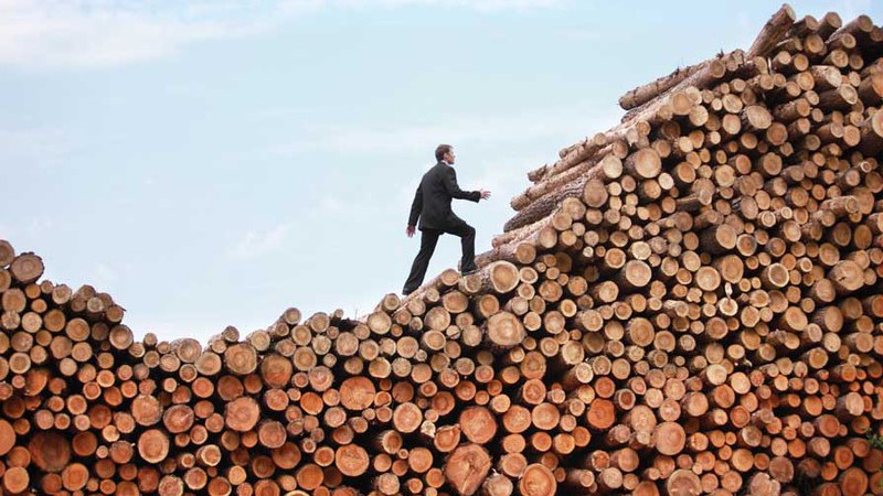 Как не заблудиться в ЕГАИС-лесу?